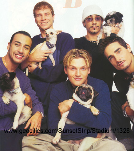 puppies.jpg